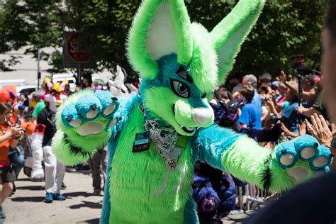 The Furries Are Back In Pittsburgh Are You Up On Your Furry Etiquette