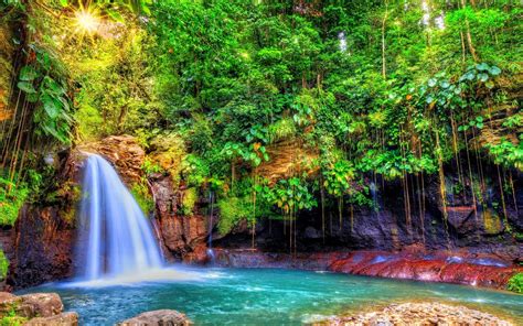 Download tropical waterfall 240x320 wallpaper to your phone for free. Wallpaper : 1920x1200 px, Caribbean, colorful, forest, Guadeloupe, island, landscape, nature ...