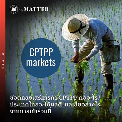 The cptpp parties are australia, brunei darussalam, canada, chile, japan, malaysia, mexico, new zealand, peru, singapore, and vietnam. ข้อตกลงเสรีการค้า CPTPP คืออะไร? ประเทศไทยจะได้ผลดี-ผลเสีย ...