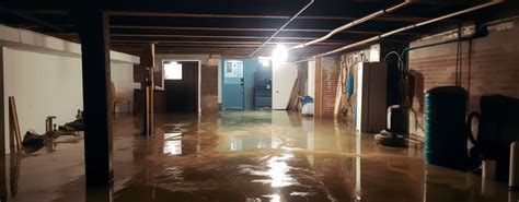 Dont Let A Flooded Basement Drain Your Wallet A Comprehensive Guide
