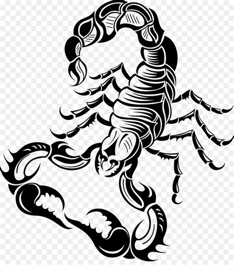 Scorpion Zodiac Astrological Sign Clip Art Scorpio Astrology Png