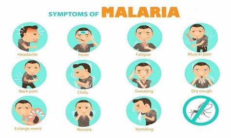 symptoms of malaria
