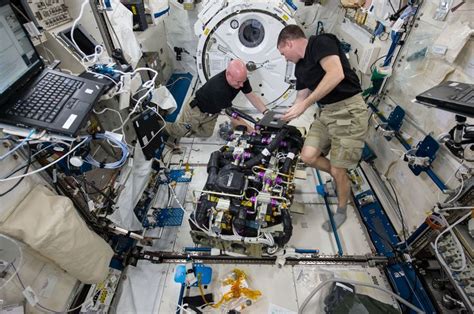 Astronauts At Work On The International Space Station Space Station