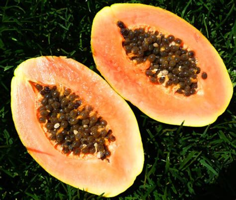 Esencia sintética de papaya 1 lt Reachem
