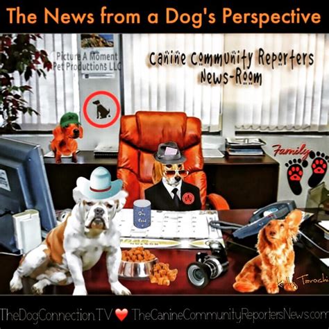 News From A Dogs Perspective Canine Community Reporters Flickr