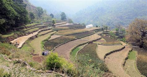 Uttarakhand How A Climate Initiative Is Reviving Garhwals Tipli Village