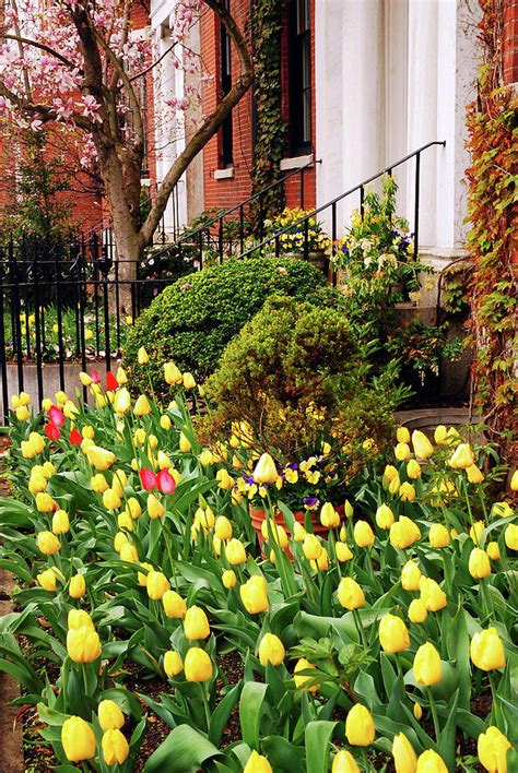 Spring In Bostons Back Bay Photograph By James Kirkikis Fine Art America