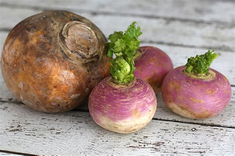 Differences Between Turnips And Rutabagas