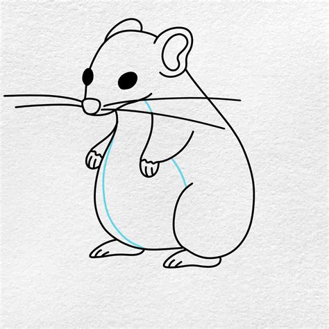 How To Draw A Rat Helloartsy