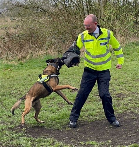 Police Commissioner Hands On As He Experiences Police Dog Bite Training