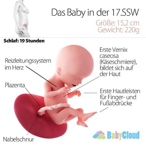 Wann sind zusätzliche ultraschalltermine sinnvoll? 17.SSW - Die Wochen deiner Schwangerschaft