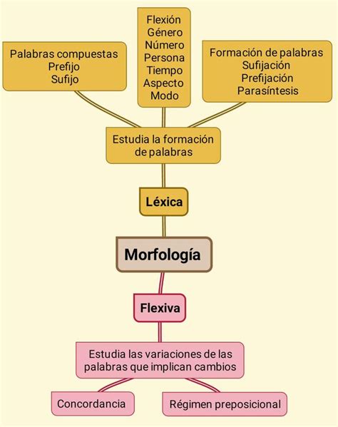 Morfología Flexiva Y Léxica Ejemplos En Español carga