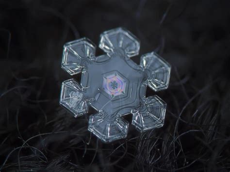 Amazing Images Of Snow Crystals Show Off Natures Beauty