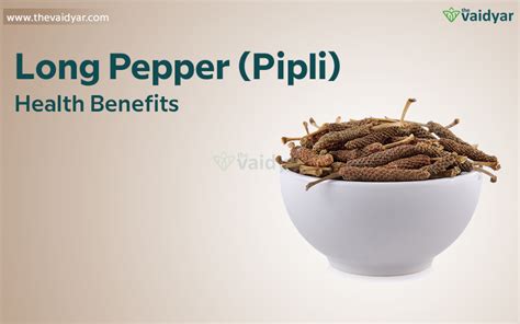 Health Benefits Of Long Pepper Pipli