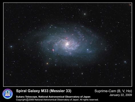 Spiral Galaxy M33 Naoj National Astronomical Observatory Of Japan