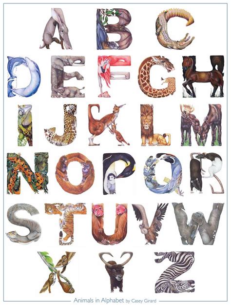 Animals In Alphabet Poster 18 X 24 Casey G Etsy Alphabet