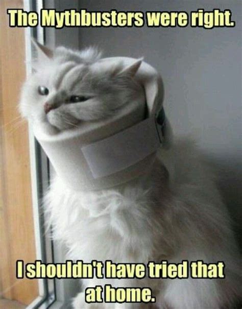 Neck Brace Funny Funny Pictures Funniest Pictures Ever