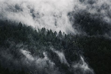Free Images Nature Forest Mountain Cloud Black And White Sky