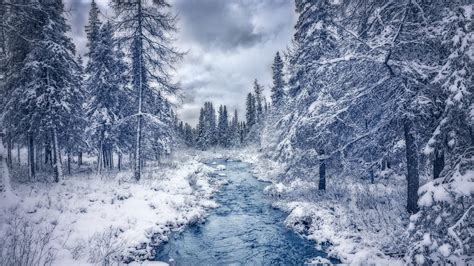 Winter Theme For Windows 10 And 11