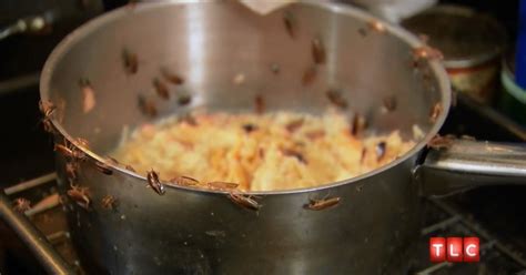 I mean full of them. See it: Thousands of cockroaches swarm New Jersey home ...