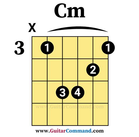 Guitar Bar Chords Tutorial With Diagrams Photos And Playing Tips