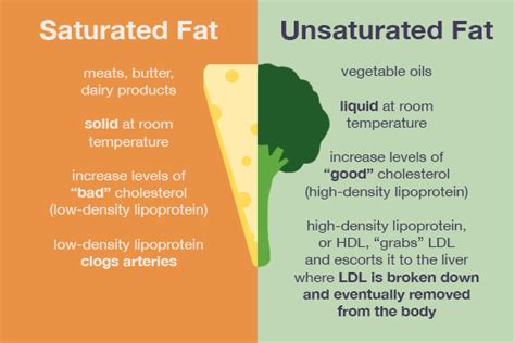 Saturated Vs Unsaturated Fats —