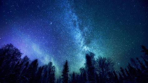 Download Wallpaper The Milky Way Space Forest Trees Stars Mystery