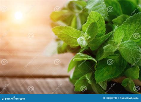 Fresh Mint Leaves On Wooden Background With Copyspace And Sunlights