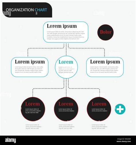 Organization Chart Infographics With Tree Vector Illustration Stock