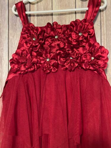 Biscotti Girls Cranberry Red Holiday Dress Formal Flowers Rhinestones