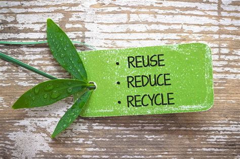 Seriously Easy Ways to Live a Little Greener: Reduce Waste - Greenily