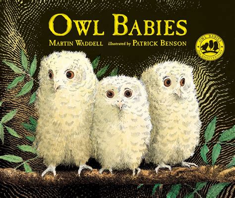 Owl Babies Martin Waddell 9780763695194 Boeken