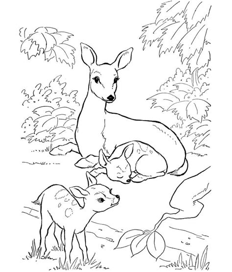 Check spelling or type a new query. 45+ Deer Templates - Animal Templates | Free & Premium ...