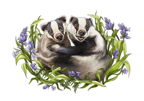 Badgers Print From An Original Ink Illustration Couple Of Cute