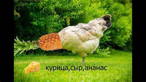 Курица,сыр,ананас - YouTube Картинка - Курица,сыр,ананас - YouTube