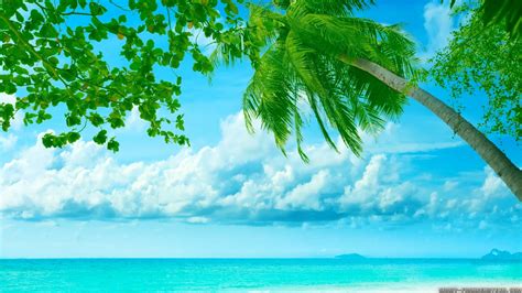 Beautiful Summer Backgrounds 59 Images