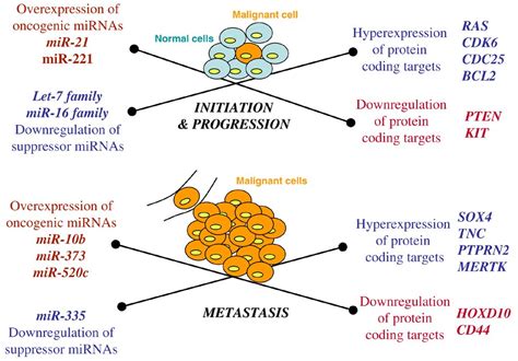 Breast Cancer Metastasis A Microrna Story Breast Cancer Research