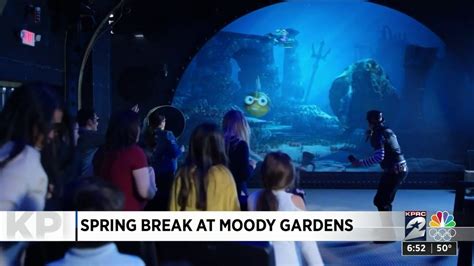 Moody gardens hours & admission prices. Moody Gardens - YouTube