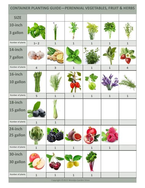 Plant Container Size Chart