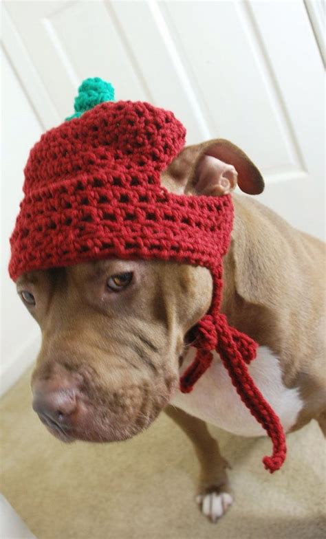 Crochet Dog Hat Pattern Free Crochet Dog Hat Free Crochet Pattern