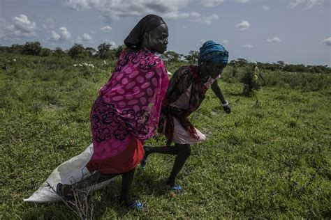 South Sudan Turns Seven As Seven Million People Go Hungry World Food Programme