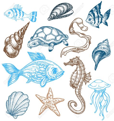 Sea Creatures Drawings Easy Sea Drawing Creatures Easy Animals Animal