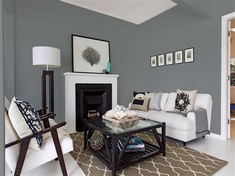 Modern Grey Paint Colors For Living Room Blinkgros