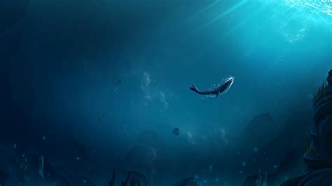 1920x1080 Lonely Whale Laptop Full Hd 1080p Hd 4k Wallpapersimages