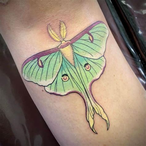 Moth Tattoo The Complete Guide Meaning And Designs