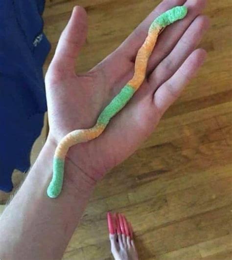 world s longest gummy worm r whenyouseeit
