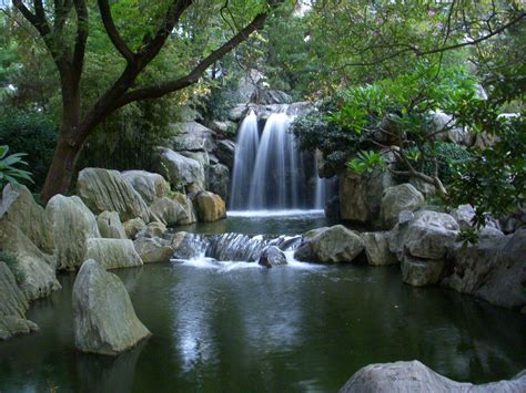 Flower Waterfall Real Flower Beautiful Nature Pictures