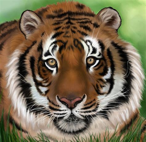 Panthera Tigris By Tifflacey On Deviantart Panthera Tigris Panthera