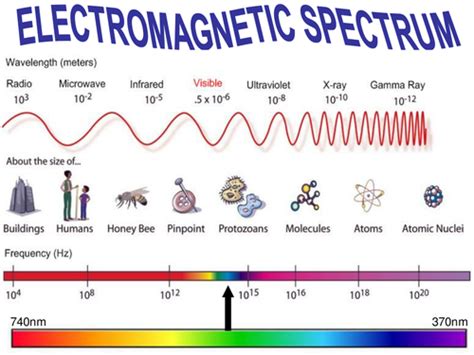 Electromagnetic Spectrum Worksheet Marketplace Activity Radiation