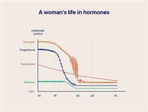 Female Hormone Cycle Chart